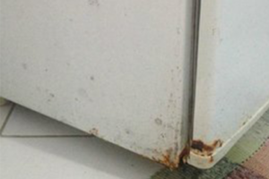 Qual a melhor maneira de remover a ferrugem da geladeira e do freezer?